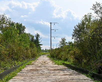 Electric tower in a green field by train tracks